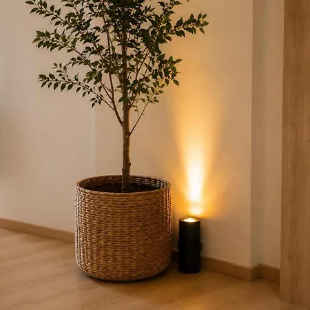Luna Serene - Gym Rooms