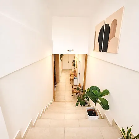 Luna Serene - Gym Rooms